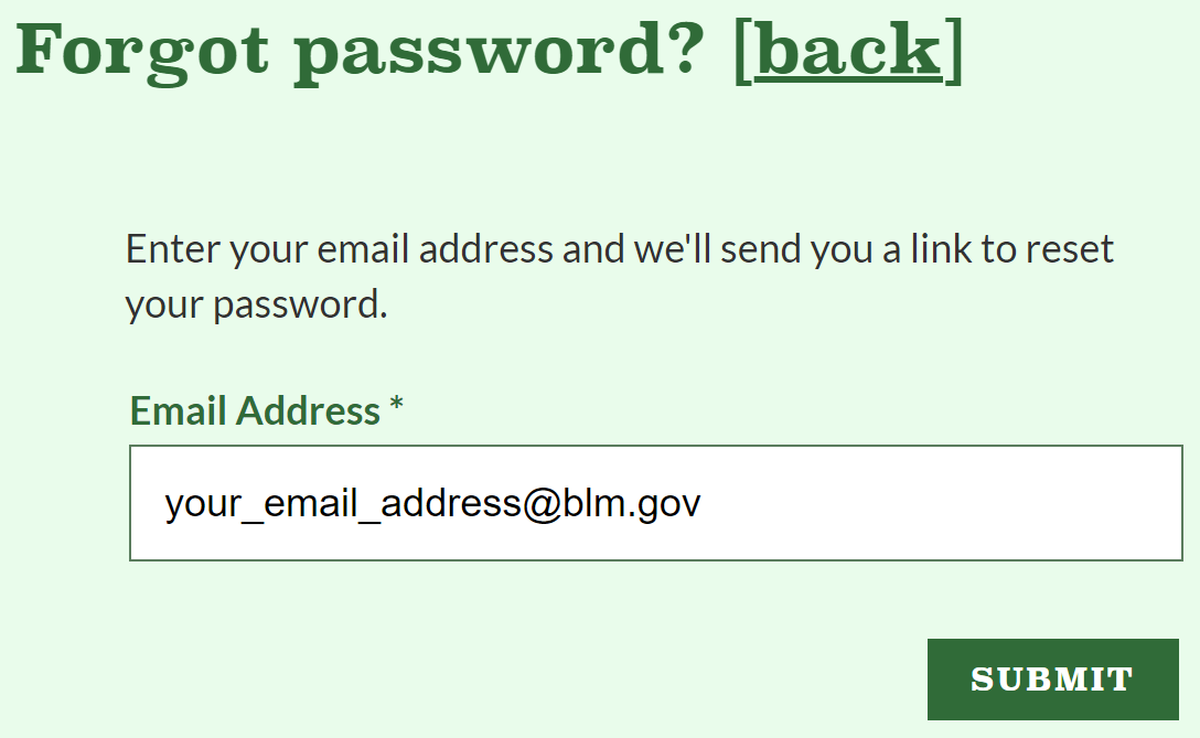 screenshot of the forgot password email form