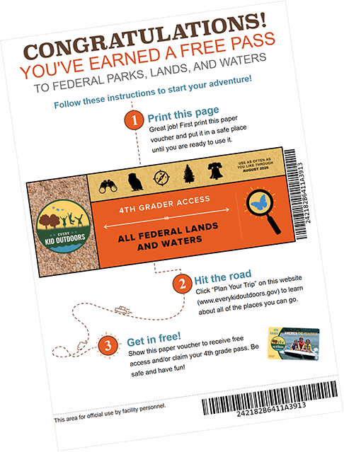 Printed Pass
