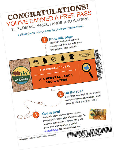 Printed Pass